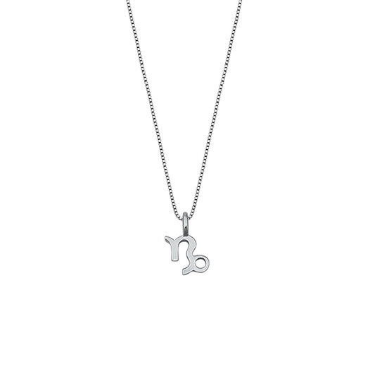 Silver Necklace - Capricorn Zodiac